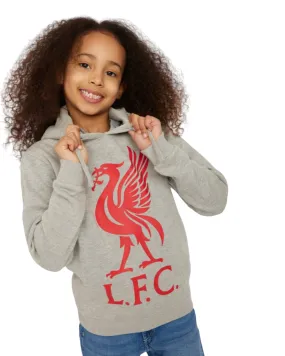 LFC Junior Liverbird Hoody GREY