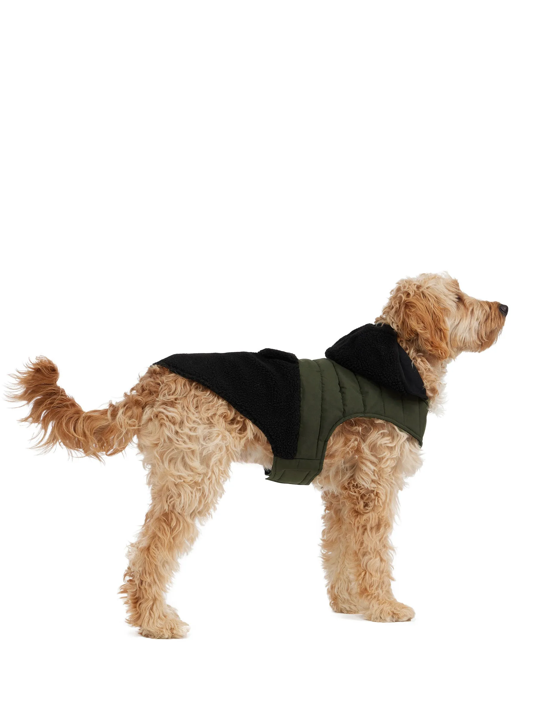 Loki Easy Fit Jacket w/Hood for Dogs