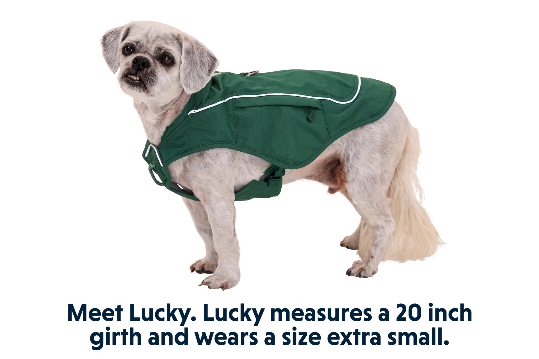 Overcoat Fuse™ Dog Jacket