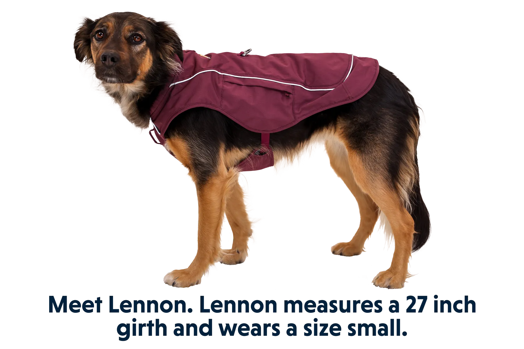 Overcoat Fuse™ Dog Jacket